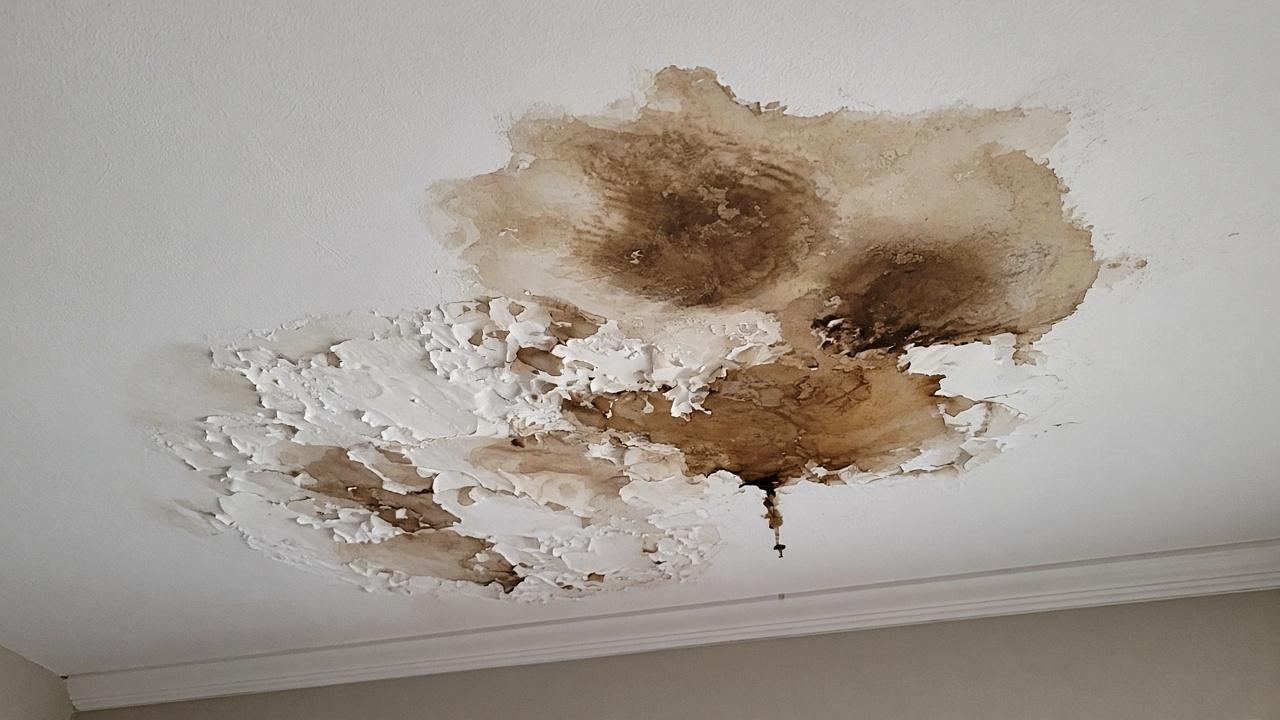 Ceiling & Wall Water Damage Repair